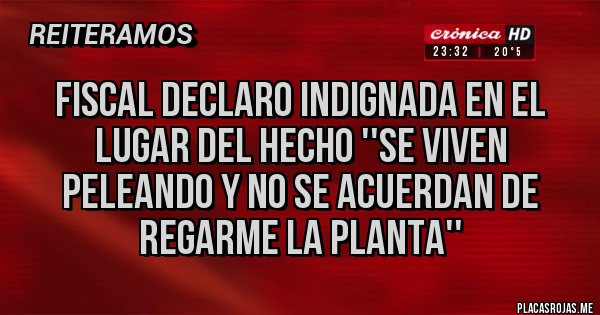 Placas Rojas - FISCAL DECLARO INDIGNADA EN EL LUGAR DEL HECHO ''SE VIVEN PELEANDO Y NO SE ACUERDAN DE REGARME LA PLANTA''