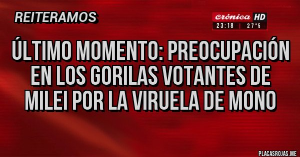 Placas Rojas - Último momento: Preocupación en los gorilas votantes de Milei por la viruela de mono