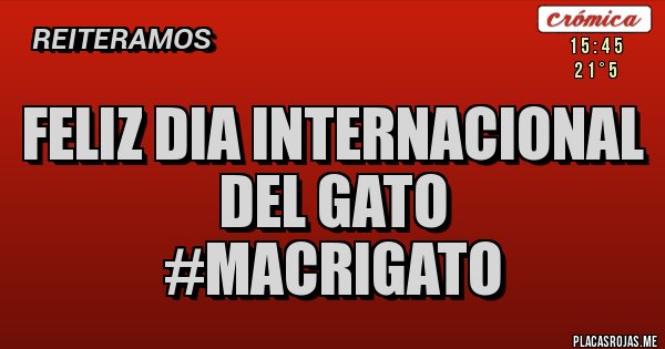 Placas Rojas - Feliz dia internacional del gato
#macrigato 