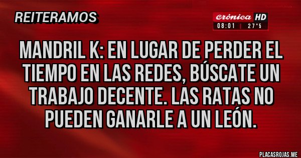 Placas Rojas - Mandril k: en lugar de perder el tiempo en las redes, búscate un trabajo decente. Las ratas no pueden ganarle a un león.
