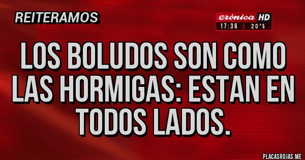 Placas Rojas - LOS BOLUDOS SON COMO LAS HORMIGAS: ESTAN EN TODOS LADOS. Placas Rojas - LOS BOLUDOS SON COMO LAS HORMIGAS: ESTAN EN TODOS LADOS.