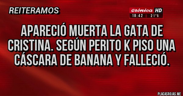 Placas Rojas - Apareció muerta la gata de Cristina. Según perito k piso una cáscara de banana y falleció. 