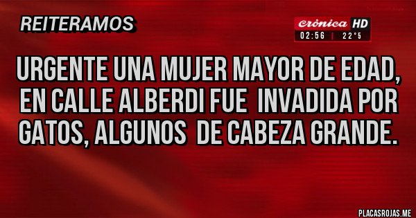 Placas Rojas - URGENTE una mujer mayor de edad, en calle Alberdi fue invadida por Gatos, algunos de cabeza grande. Placas Rojas - URGENTE una mujer mayor de edad, en calle Alberdi fue invadida por Gatos, algunos de cabeza grande.