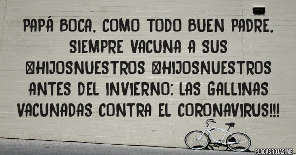 Placas Rojas - Papá Boca, como todo buen padre, siempre vacuna a sus #hijosnuestros #hijosnuestros antes del invierno: las Gallinas vacunadas contra el Coronavirus!!!