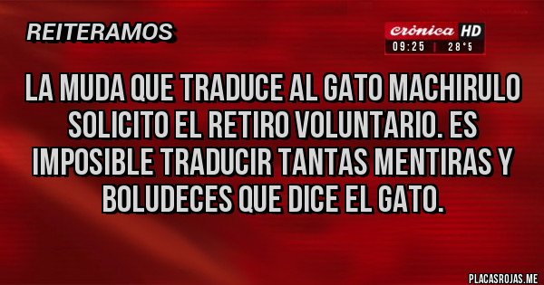 Placas Rojas - La muda que traduce al gato machirulo solicito el retiro voluntario. Es imposible traducir tantas mentiras y boludeces que dice el gato.