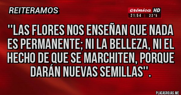 Placas Rojas - ''Las flores nos enseñan que nada es permanente; ni la belleza, ni el hecho de que se marchiten, porque darán nuevas semillas''. 