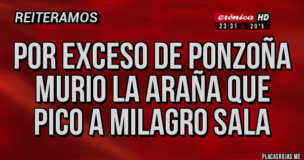 Placas Rojas - POR EXCESO DE PONZOÑA MURIO LA ARAÑA QUE PICO A MILAGRO SALA