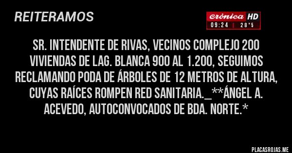 Placas Rojas - Sr. Intendente De Rivas, Vecinos Complejo 200 Viviendas de Lag. Blanca 900 al 1.200, seguimos reclamando PODA DE ÁRBOLES DE 12 METROS DE ALTURA, CUYAS RAÍCES ROMPEN RED SANITARIA._**Ángel A. Acevedo, Autoconvocados de Bda. Norte.*