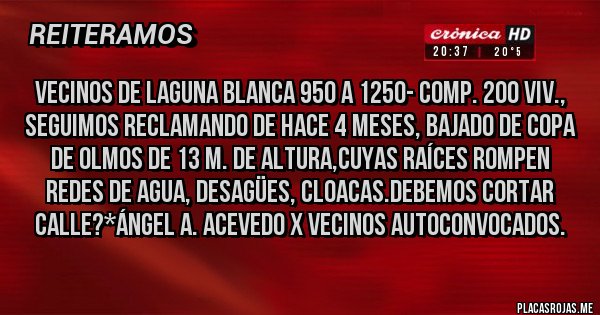 Placas Rojas - Vecinos de Laguna Blanca 950 a 1250- Comp. 200 Viv., seguimos reclamando de hace 4 meses, Bajado de Copa de Olmos de 13 m. de altura,cuyas raíces rompen redes de agua, desagües, cloacas.Debemos cortar calle?*Ángel A. Acevedo x Vecinos Autoconvocados.