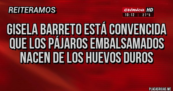 Placas Rojas - Gisela Barreto está convencida que los pájaros embalsamados nacen de los huevos duros