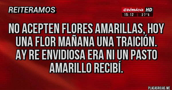 Placas Rojas - No acepten flores amarillas, hoy una flor mañana una traición.
Ay re envidiosa era ni un pasto amarillo recibí.