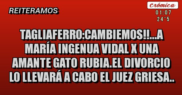 Placas Rojas - Tagliaferro:cambiemos!!...a maría ingenua vidal x una amante gato rubia.el divorcio  lo llevará a cabo el juez griesa..