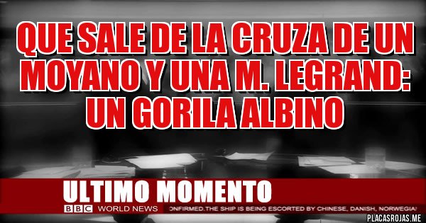 Placas Rojas - Que sale de la cruza de un moyano y una m. legrand:
un gorila albino