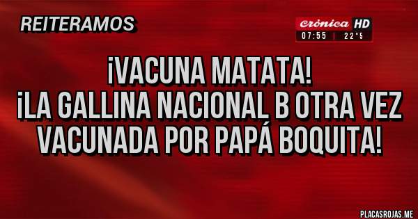 Vacuna Matata La Gallina Nacional B Otra Vez Vacunada Por Papa Boquita Placas Rojas