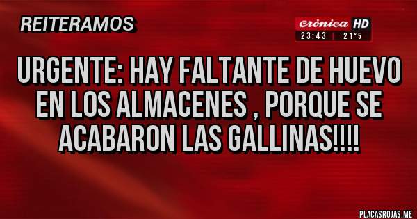 Placas Rojas - URGENTE: hay faltante de huevo en los almacenes , PORQUE SE ACABARON LAS GALLINAS!!!!