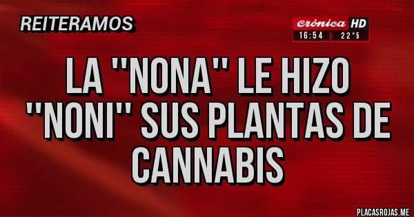 Placas Rojas - LA ''NONA'' LE HIZO ''NONI'' SUS PLANTAS DE CANNABIS