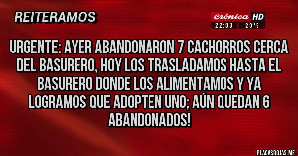 Placas Rojas - URGENTE: AYER ABANDONARON 7 CACHORROS CERCA DEL BASURERO, HOY LOS TRASLADAMOS HASTA EL BASURERO DONDE LOS ALIMENTAMOS Y YA LOGRAMOS QUE ADOPTEN UNO; AÚN QUEDAN 6 ABANDONADOS!