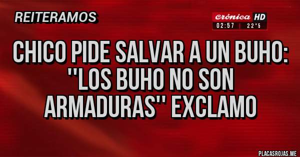 Placas Rojas - CHICO PIDE SALVAR A UN BUHO:
''LOS BUHO NO SON ARMADURAS'' EXCLAMO