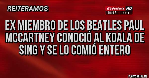 Placas Rojas - Ex miembro de los Beatles Paul McCartney conoció al koala de Sing y se lo comió entero