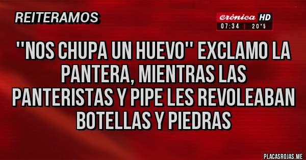 Placas Rojas - ''nos chupa un huevo'' exclamo la pantera, mientras las panteristas y pipe les revoleaban botellas y piedras