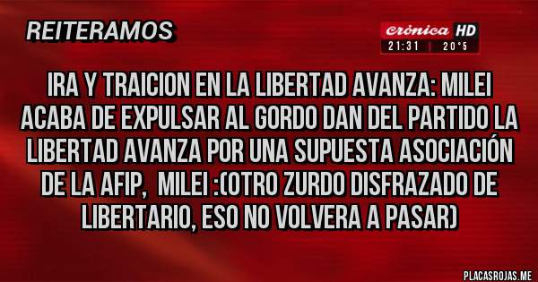 Placas Rojas - Ira y traicion en la libertad avanza: Milei Acaba de expulsar al gordo dan del partido la libertad avanza por una supuesta asociación de la AFIP,  Milei :(Otro zurdo disfrazado de libertario, Eso no volvera a pasar)