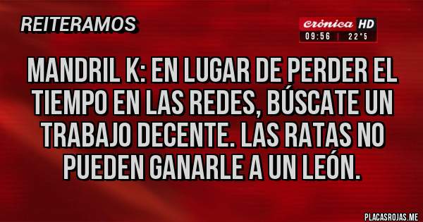 Placas Rojas - Mandril k: en lugar de perder el tiempo en las redes, búscate un trabajo decente. Las ratas no pueden ganarle a un león.