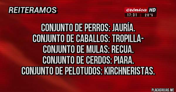 Placas Rojas - Conjunto de perros: jauría.
Conjunto de caballos: tropilla-
Conjunto de mulas: recua.
Conjunto de cerdos: piara.
Conjunto de pelotudos: kirchneristas.