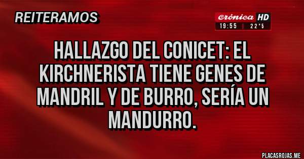 Placas Rojas - Hallazgo del conicet: el kirchnerista tiene genes de mandril y de burro, sería un mandurro.