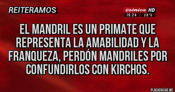 Placas Rojas - El mandril es un primate que representa la amabilidad y la franqueza, perdón mandriles por confundirlos con kirchos.