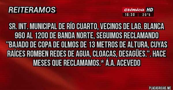 Placas Rojas - Sr. Int. Municipal de Río Cuarto, Vecinos de Lag. Blanca 960 al 12oo de Banda Norte, seguimos reclamando ''BAJADO DE COPA DE OLMOS DE 13 METROS DE ALTURA, CUYAS RAÍCES ROMBEN REDES DE AGUA, CLOACAS, DESAGÜES.''. HACE MESES QUE RECLAMAMOS.* Á.A. Acevedo