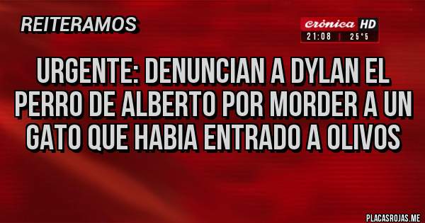 Placas Rojas - urgente: denuncian a dylan el perro de alberto por morder a un gato que habia entrado a olivos