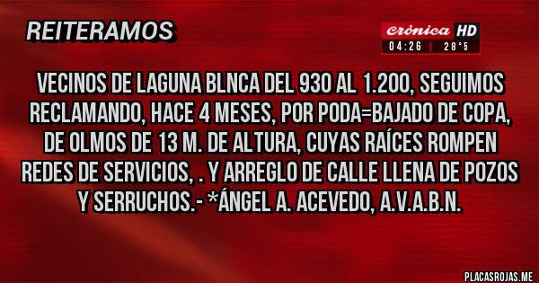 Placas Rojas - Vecinos de Laguna Blnca del 930 al 1.200, seguimos reclamando, Hace 4 meses, por Poda=Bajado de Copa, de Olmos de 13 m. de altura, cuyas raíces rompen redes de servicios, . y Arreglo de calle llena de pozos y Serruchos.- *Ángel A. Acevedo, A.V.A.B.N.