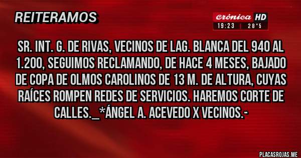 Placas Rojas - Sr. Int. G. De RIVAS, Vecinos de Lag. Blanca del 940 al 1.200, seguimos reclamando, DE HACE 4 MESES, BAJADO DE COPA de OLMOS CAROLINOS DE 13 M. DE ALTURA, CUYAS RAÍCES ROMPEN REDES DE SERVICIOS. HAREMOS CORTE DE CALLES._*Ángel A. Acevedo x Vecinos.- 