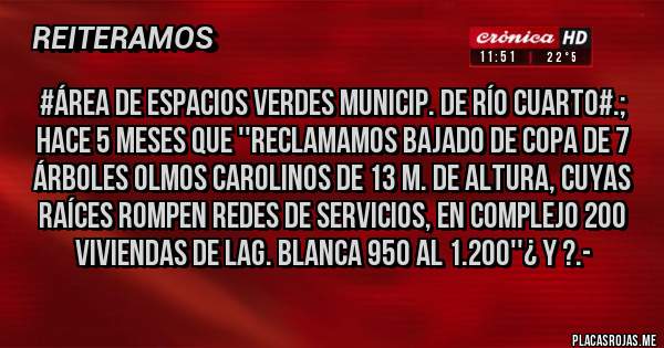 Placas Rojas - #Área de Espacios Verdes Municip. de Río Cuarto#.; Hace 5 meses que ''reclamamos bajado de copa de 7 árboles Olmos Carolinos de 13 m. de altura, cuyas RAÍCES ROMPEN REDES DE SERVICIOS, EN COMPLEJO 200 VIVIENDAS de Lag. Blanca 950 al 1.200''¿ Y ?.-