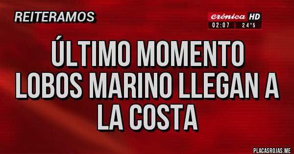 Placas Rojas - Último Momento
Lobos Marino llegan a la costa