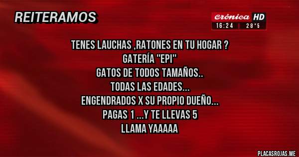 Placas Rojas - Tenes lauchas ,ratones en tu hogar ?
Gatería ''Epi''
Gatos de todos tamaños..
Todas las edades...
Engendrados x su propio dueño...
Pagas 1 ...y te llevas 5
Llama yaaaaa