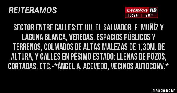 Placas Rojas - SECTOR ENTRE CALLES:EE.UU, EL SALVADOR, F. MUÑÍZ Y LAGUNA BLANCA, VEREDAS, ESPACIOS PÚBLICOS Y TERRENOS, COLMADOS DE ALTAS MALEZAS DE 1,30M. DE ALTURA, Y CALLES EN PÉSIMO ESTADO: LLENAS DE POZOS, CORTADAS, ETC.-*Ángel A. Acevedo, Vecinos Autoconv.*