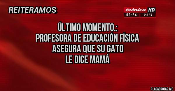 Placas Rojas -            ÚLTIMO MOMENTO.:
PROFESORA DE EDUCACIÓN FÍSICA
ASEGURA QUE SU GATO 
LE DICE MAMÁ 
