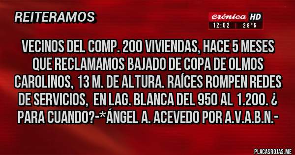 Placas Rojas - Vecinos del Comp. 200 Viviendas, hace 5 meses que reclamamos BAJADO DE COPA DE OLMOS CAROLINOS, 13 M. DE ALTURA. RAÍCES ROMPEN REDES DE SERVICIOS,  EN LAG. BLANCA DEL 950 AL 1.200. ¿ PARA CUANDO?-*Ángel A. Acevedo por A.V.A.B.N.-
