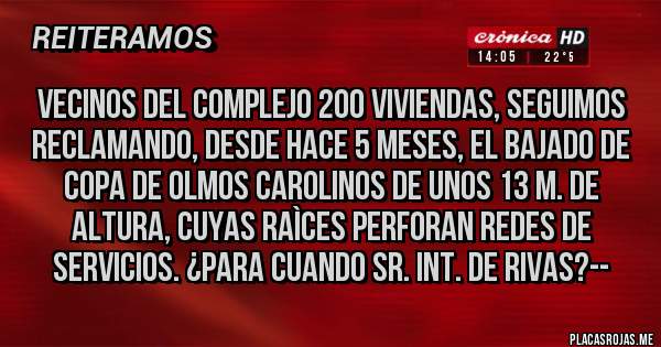 Placas Rojas - Vecinos del Complejo 200 Viviendas, seguimos reclamando, desde hace 5 meses, el BAJADO DE COPA DE OLMOS CAROLINOS DE UNOS 13 M. DE ALTURA, CUYAS RAÌCES PERFORAN REDES DE SERVICIOS. ¿PARA CUANDO SR. INT. DE RIVAS?--