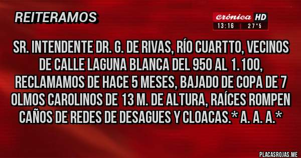 Placas Rojas - Sr. Intendente Dr. G. De Rivas, Río Cuartto, Vecinos de calle Laguna Blanca del 950 al 1.100, RECLAMAMOS DE HACE 5 MESES, BAJADO DE COPA DE 7 OLMOS CAROLINOS DE 13 m. de Altura, Raíces rompen caños de redes de desagues y cloacas.* A. A. A.*