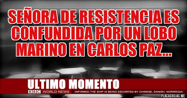 Placas Rojas -  SEÑORA DE RESISTENCIA ES CONFUNDIDA POR UN LOBO MARINO EN CARLOS PAZ...