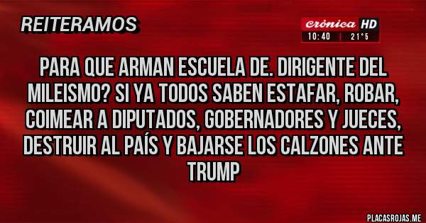 Placas Rojas - Para que arman escuela de. Dirigente del mileismo? Si ya todos saben estafar, robar, coimear a diputados, gobernadores y jueces, destruir al país y bajarse los calzones ante Trump 